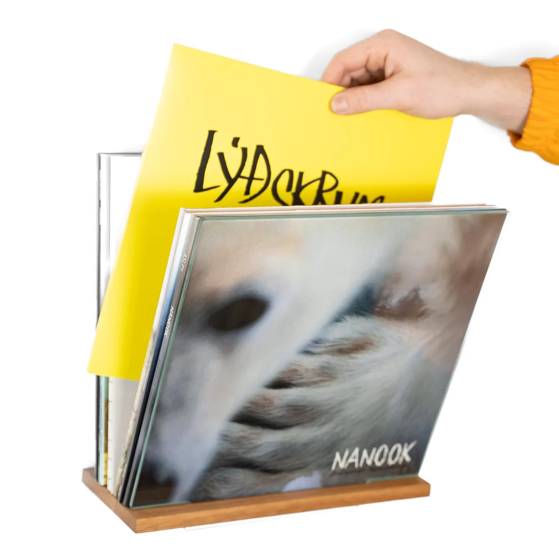 Display MULTI Wanddisplay für Schallplatten