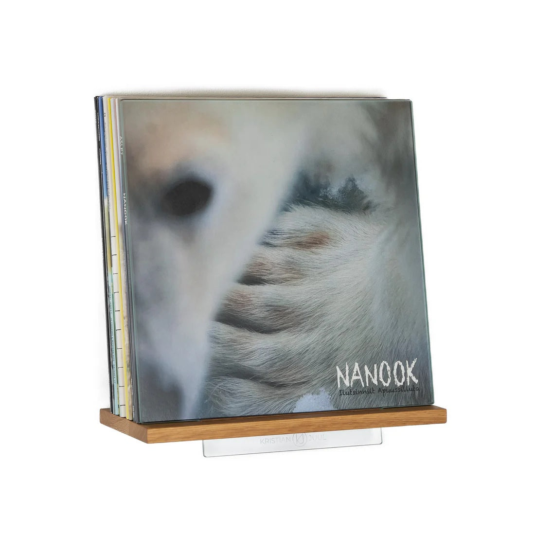 Display MULTI Wanddisplay für Schallplatten